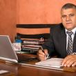 Pe poziţia 342 este plasată firma omului de afaceri Dumitru Mihalescul, Marelvi Impex SRL Rădăuţi