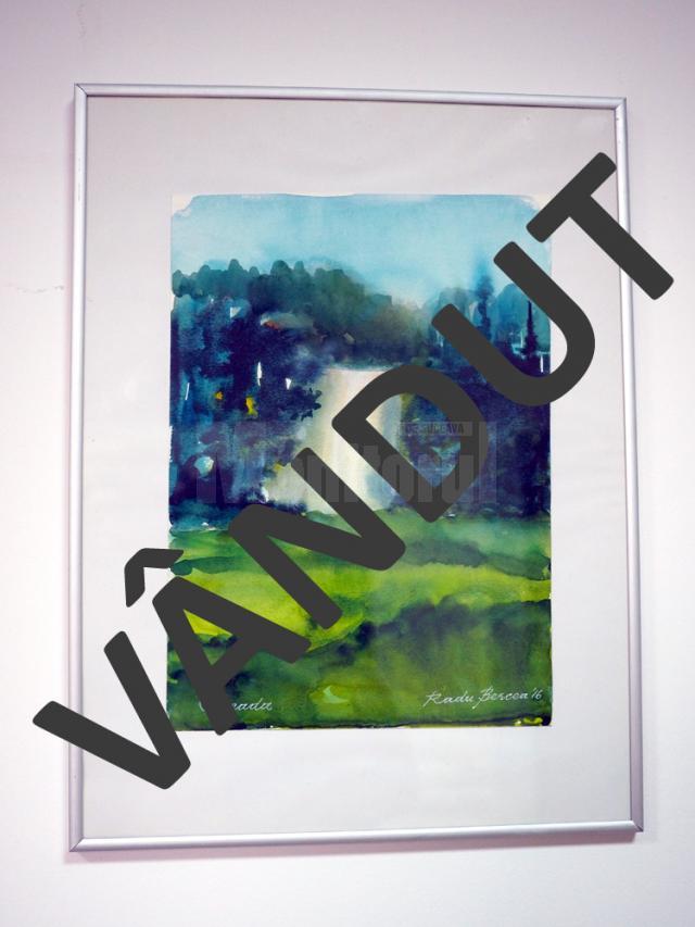 „Cascada” (41x31), înrămat, autor Radu Bercea, preţ 50 de dolari