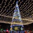 Luminile de sărbătoare s-au aprins în centrul Sucevei