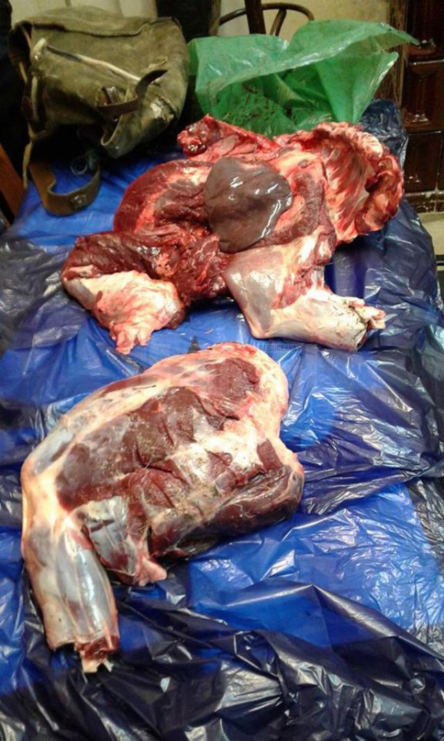 În interiorul celor două rucsacuri au fost descoperite 44 de kg de carne provenite din tranşarea animalului