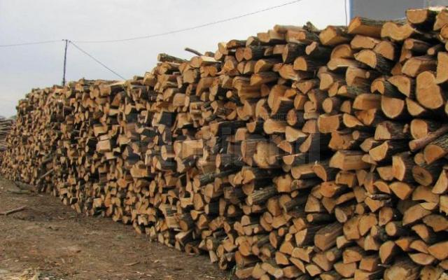 Garda Forestiera a dispus confiscarea contravalorii a 172 de metri cubi de material lemnos