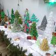 Expoziţia "Lumea brăduților de Crăciun” va fi găzduită de Ocolul Silvic Adâncata