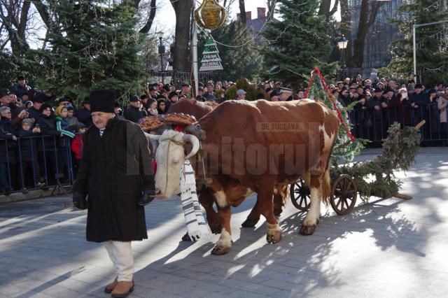 Festivalul tradiţiilor populare de iarnă, o colecţie impresionantă de obiceiuri din întreaga Bucovină