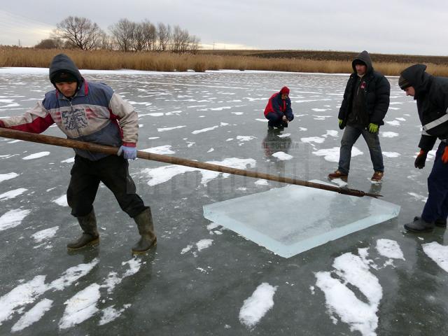 Gheața e scoasă din apă și trasă cu căngile spre malul lacului