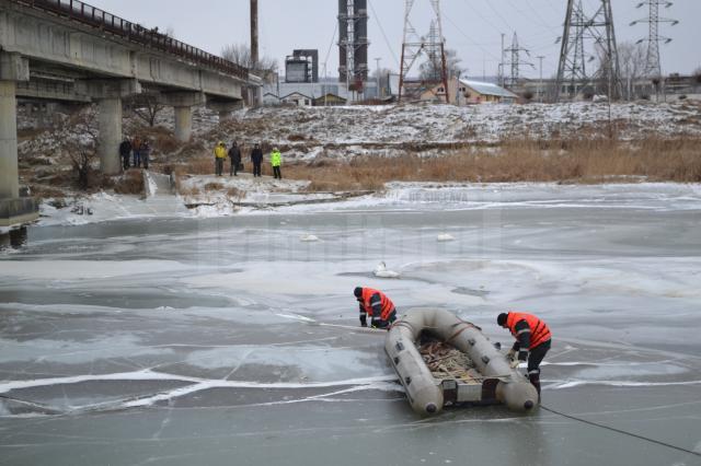 Intervenţia pentru salvarea lebedelor de pe râul Suceava a continuat sâmbătă