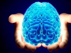 Ce se întâmplă cu creierul uman în jurul vârstei de 30 de ani? Foto: www.antenasatelor.ro