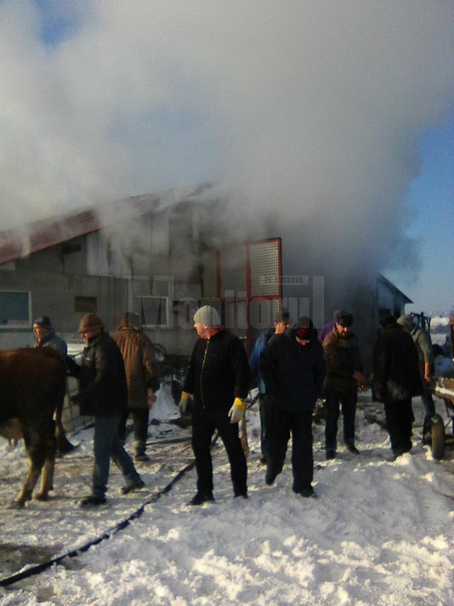 Ferma afectată de incendiu