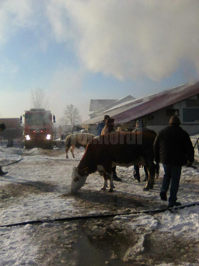 Ferma afectată de incendiu