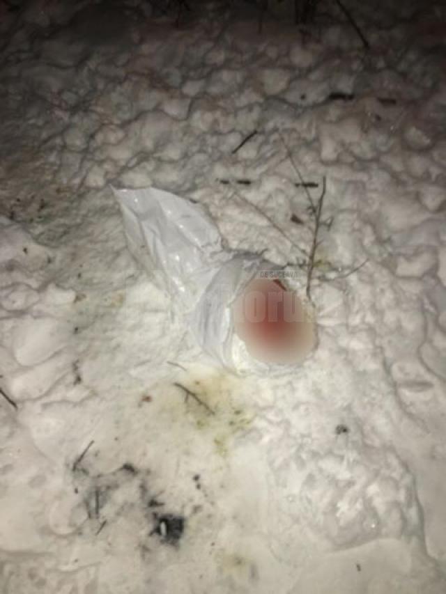Bebeluş găsit îngheţat şi muşcat de câini, în apropiere de Gara Burdujeni