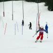 Concursul Naţional de Schi „Bucuriile zăpezii” s-a dovedit o reuşită