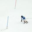 Concursul Naţional de Schi „Bucuriile zăpezii” s-a dovedit o reuşită
