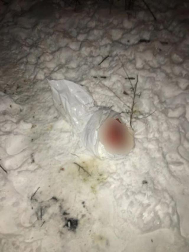Nou-născutul aruncat lângă un buncăr de gunoi din apropierea Gării Burdujeni
