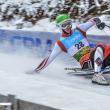 Pregătiri intense la Vatra Dornei pentru primul Campionat Mondial de seniori organizat în România la sporturile de iarnă