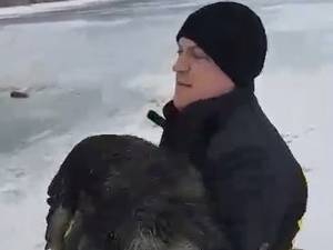 Salvarea unui câine care rămăsese blocat în apa îngheţată a râului Moldova, în cartierul Voroneţ