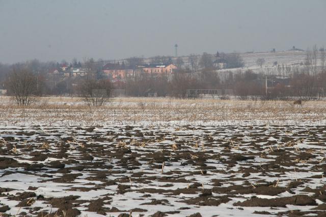 Inginerii funciare grosolane pe spatele sătenilor din Muşeniţa