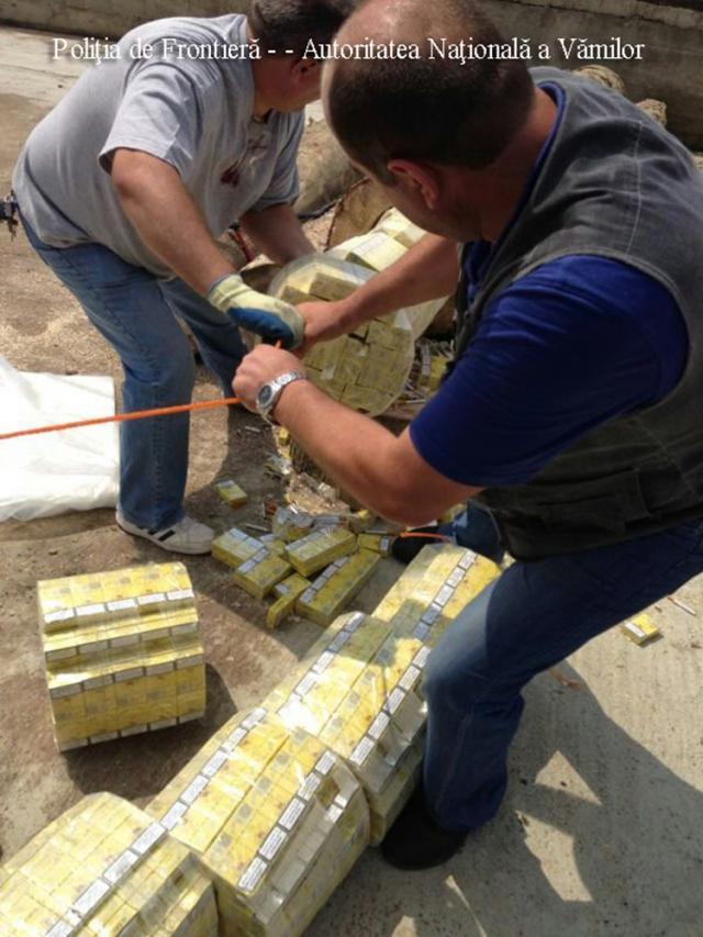 Cele peste 100.000 de pachete de ţigări de contrabandă aduse în România din Ucraina într-un transport de buşteni