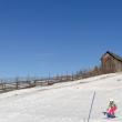 A IX-a ediție a concursului de sanie și schi „Iarna în Poieniță”