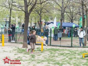 Proiect pentru amenajarea în Suceava a unui parc de joacă pentru animale