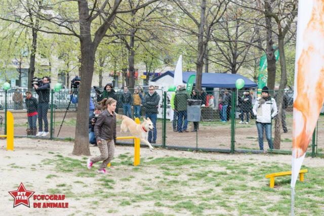 Proiect pentru amenajarea în Suceava a unui parc de joacă pentru animale