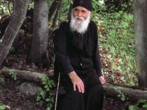 Cuviosul Paisie Aghioritul