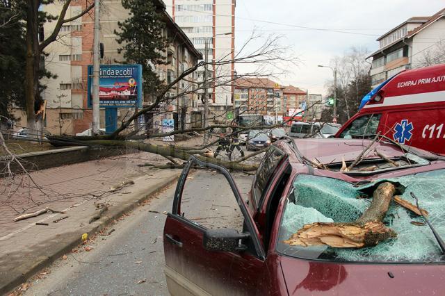 Acoperişuri smulse şi copaci căzuţi în stradă, în urma vijeliei de vineri dimineaţă