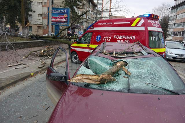 Acoperişuri smulse şi copaci căzuţi în stradă, în urma vijeliei de vineri dimineaţă