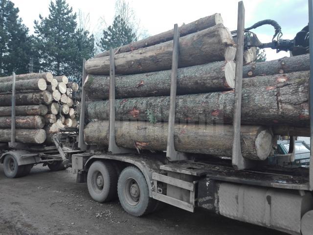Transporturile de lemn, verificate de poliţişti şi Garda Forestieră