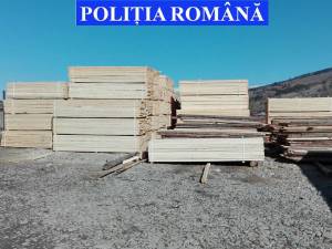 Peste 120 mc de material lemnos confiscat
