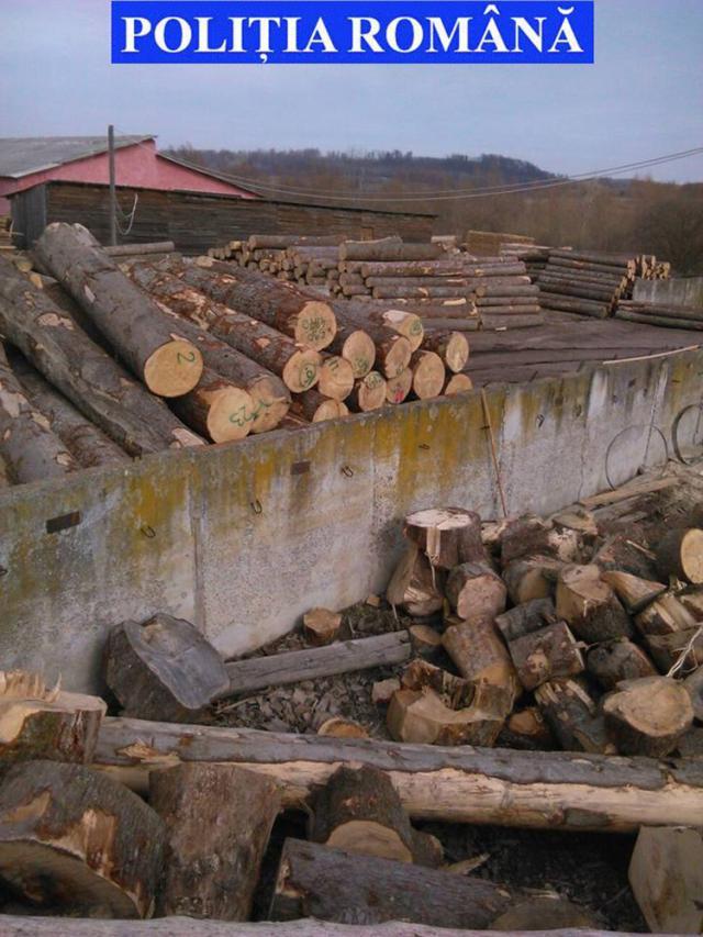 Echipele de control au confiscat de la o societate din Comăneşti lemn în valoare de peste 60.000 de lei