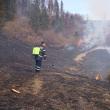 Intervenţie dificilă la un incendiu pe mai bine de cinci hectare, la Câmpulung