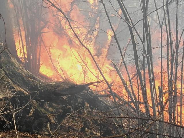 Intervenţie dificilă la un incendiu pe mai bine de cinci hectare, la Câmpulung