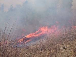 Intervenţie dificilă la un incendiu pe mai bine de cinci hectare, la Câmpulung