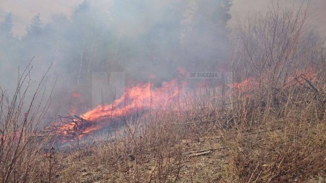 Intervenţie dificilă la un incendiu pe mai bine de cinci hectare, la Câmpulung