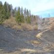 Intervenţie dificilă la un incendiu pe mai bine de cinci hectare, la Câmpulung