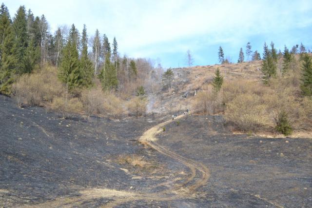 Intervenţie dificilă la un incendiu pe mai bine de cinci hectare, la Câmpulung