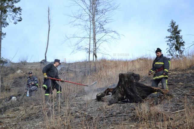 Intervenţie dificilă la un incendiu pe mai bine de cinci hectare, la Câmpulung