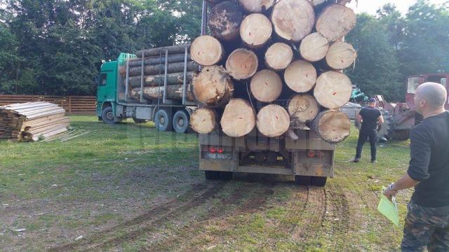 Transport de lemn cu acte expirate, confiscat de poliţişti