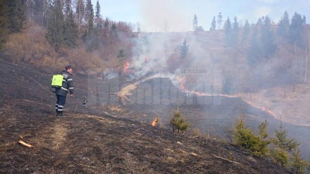 Incendiile au afectat aproape 13 hectare în mai multe zone ale judeţului