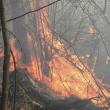 Incendiile de vegetaţie uscată dau mari bătăi de cap pompierilor