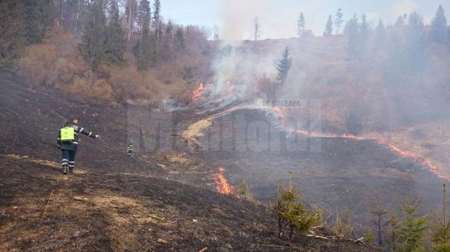Incendiile de vegetaţie uscată dau mari bătăi de cap pompierilor
