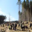10.000 de puieţi de arbori, plantaţi cu voluntari, la OS Ilişeşti