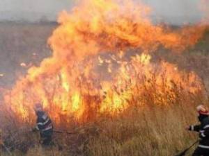 Patru incendii de vegetaţie uscată produse în câteva ore le-au dat bătăi de cap pompierilor