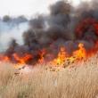 Patru incendii de vegetaţie uscată produse în câteva ore le-au dat bătăi de cap pompierilor