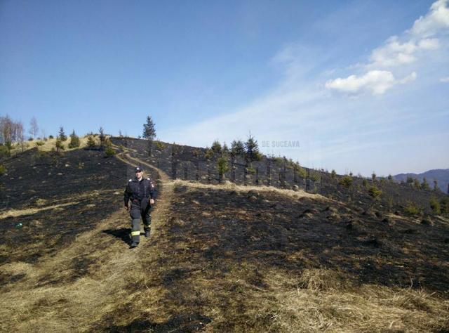 Incendiul a mistuit 20 de hectare de vegetaţie uscată şi 10 hectare de pădure regenerată natural