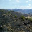 Mobilizare puternică pentru stingerea unui incendiu care a afectat 30 de hectare de păşune şi pădure
