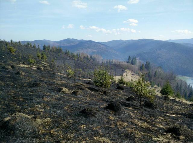 Mobilizare puternică pentru stingerea unui incendiu care a afectat 30 de hectare de păşune şi pădure