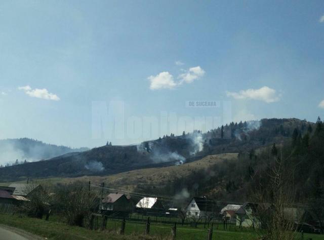 Mobilizare puternică pentru stingerea unui incendiu care a afectat 30 de hectare de păşune şi pădure