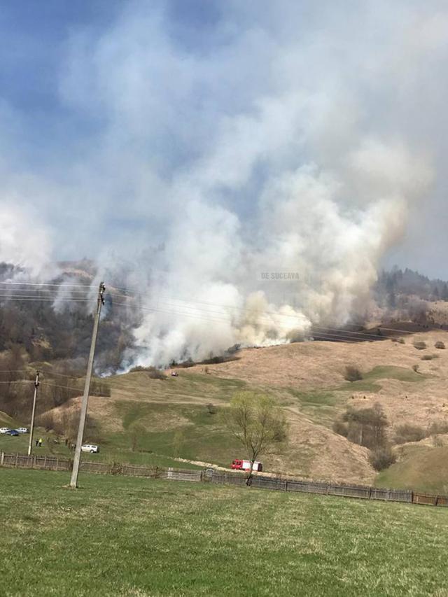 Mobilizare puternică pentru stingerea unui incendiu care a afectat 30 de hectare de păşune şi pădure