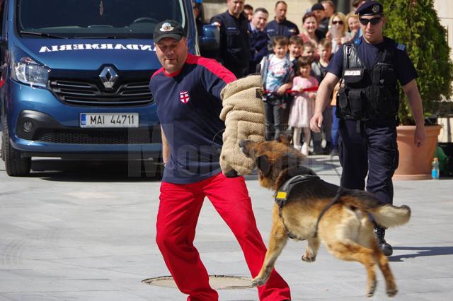 Câinii dresaţi, salvarea unui turist blocat pe un versant şi armele automate, atracţiile exerciţiului demonstrativ al jandarmilor suceveni
