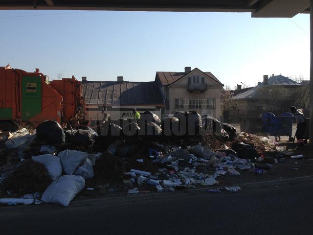 Gunoiul aruncat sub pasarela Itcani, deși mașinile de salubrizare trec de două ori pe săptămână să colecteze deșeurile de la case